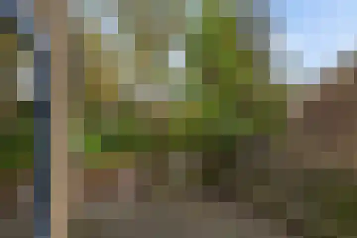 Salomonszegel 98 Leeuwarden thumbnail 7