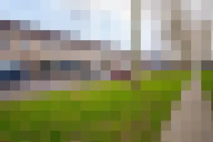 Salsastraat 213 Almere thumbnail 34