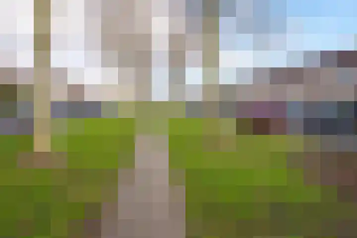 Salsastraat 213 Almere thumbnail 35