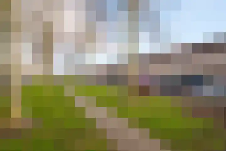 Salsastraat 213 Almere thumbnail 36