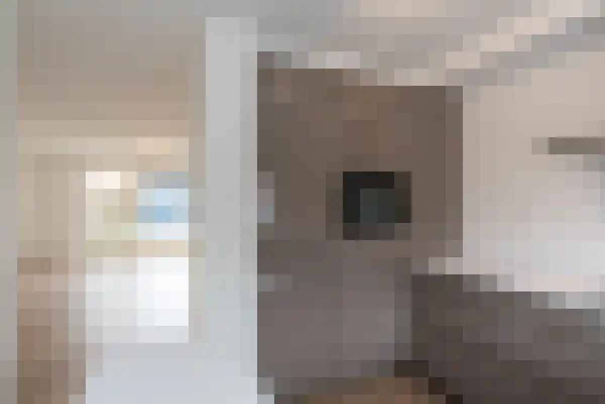 Saltholm 1 Zaandam thumbnail 5