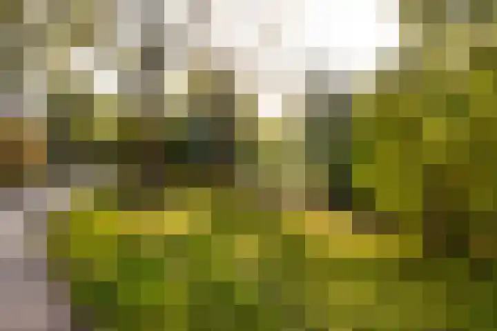 Saltholm 10 Hoofddorp thumbnail 26