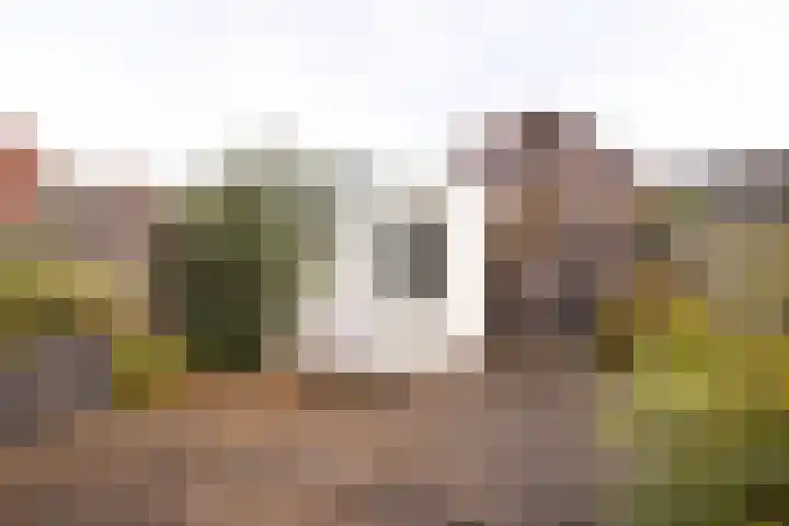 Saltholm 10 Hoofddorp thumbnail 8