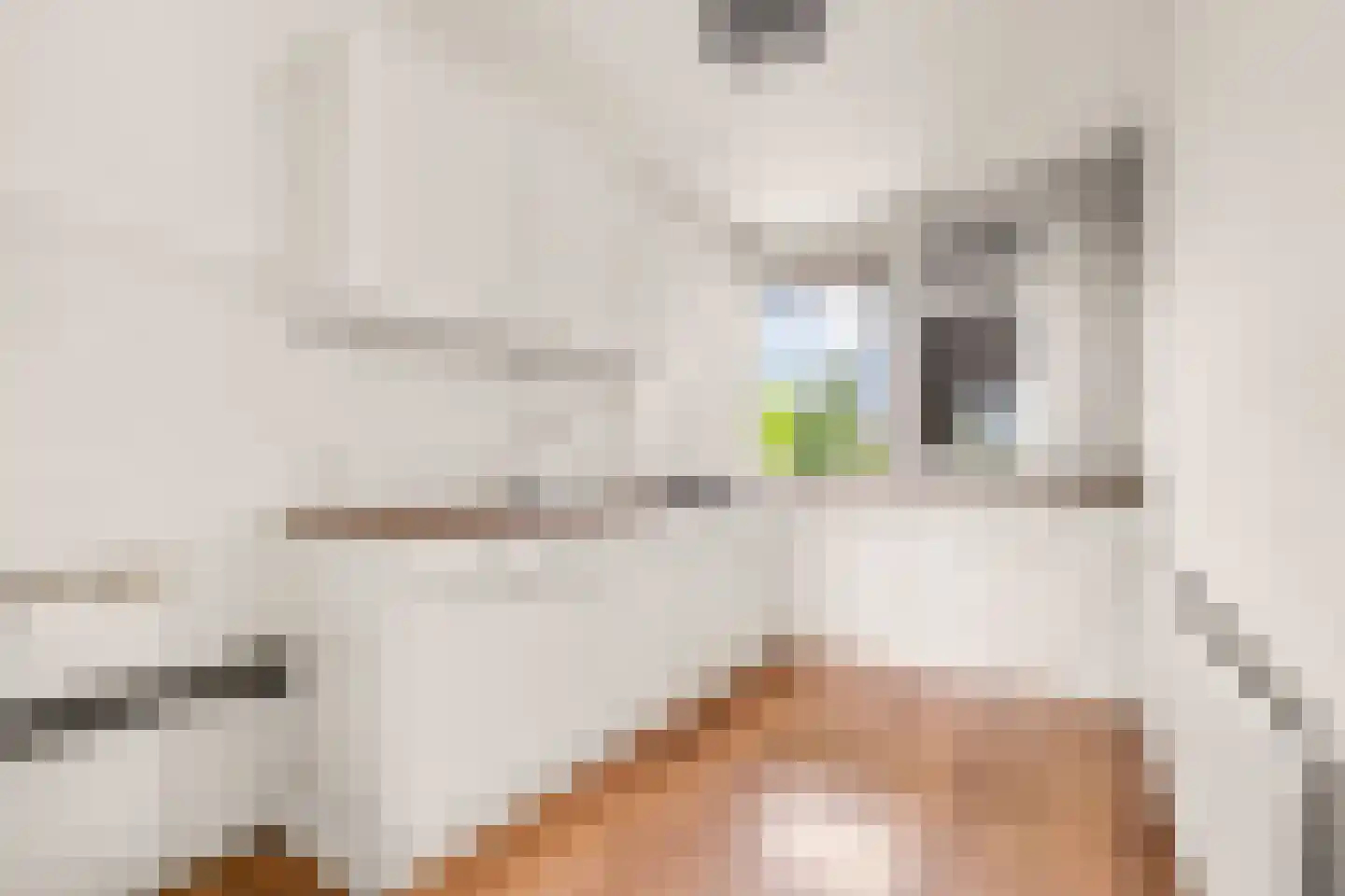 Saltholm 25 Hoofddorp thumbnail 10