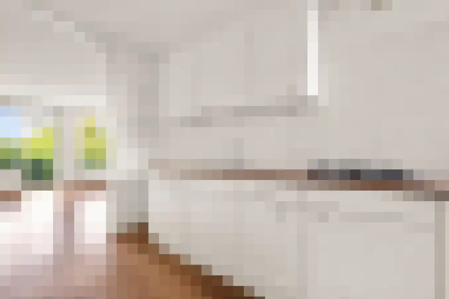 Saltholm 25 Hoofddorp thumbnail 13