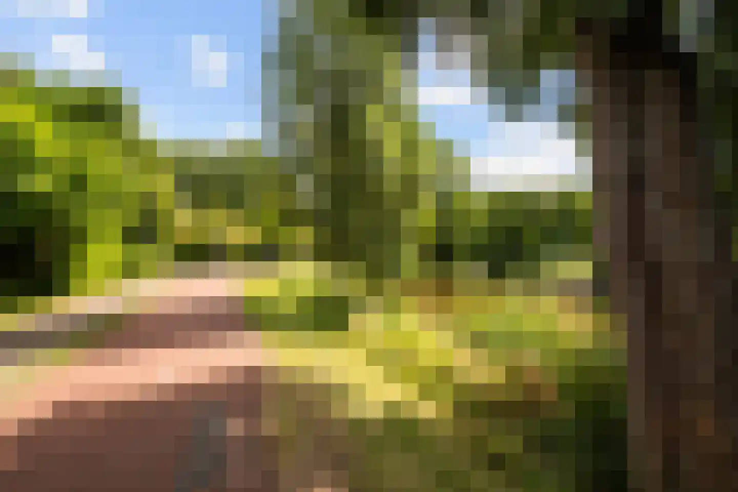Saltholm 25 Hoofddorp thumbnail 23