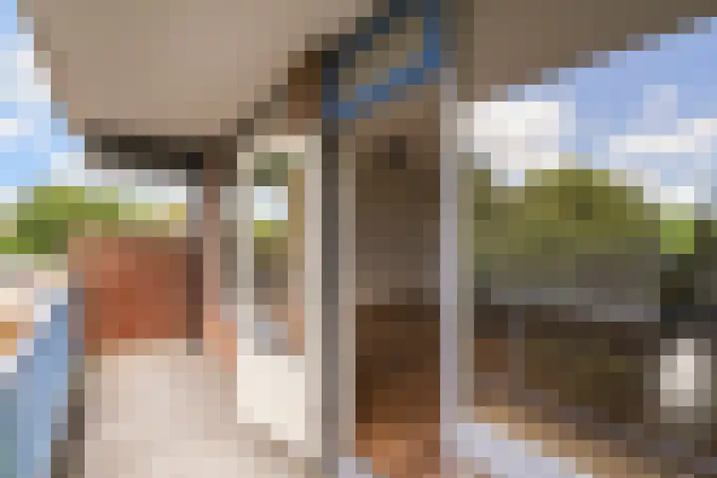 Saltholm 25 Hoofddorp thumbnail 5