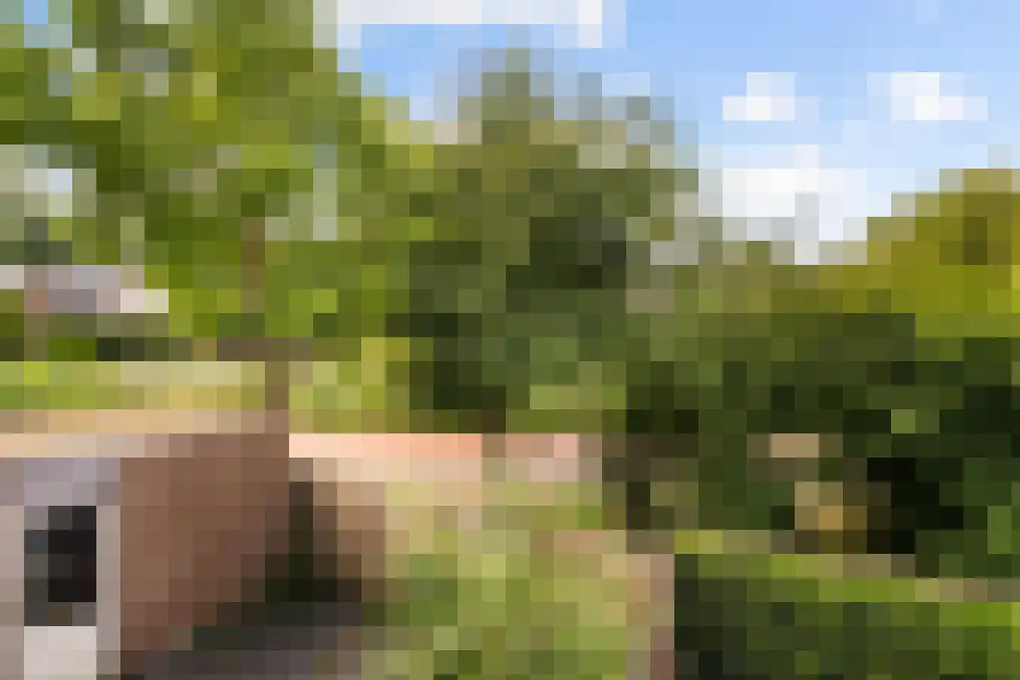 Saltholm 25 Hoofddorp thumbnail 7