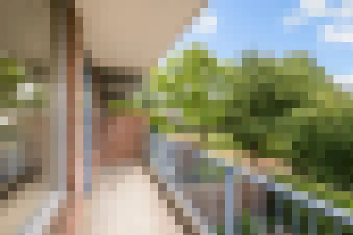 Saltholm 25 Hoofddorp thumbnail 8