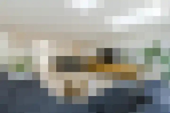 Saltholm 37 Zaandam thumbnail 10