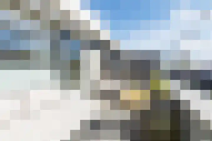 Saltholm 37 Zaandam thumbnail 4