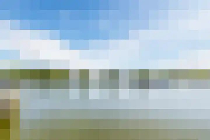 Saltholm 37 Zaandam thumbnail 42