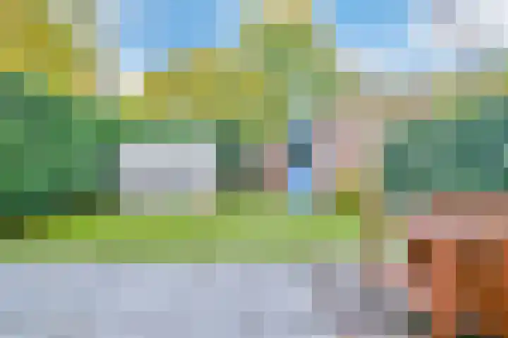 Saltholm 47 Hoofddorp thumbnail 25