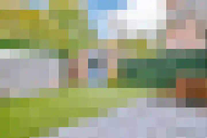 Saltholm 47 Hoofddorp thumbnail 26
