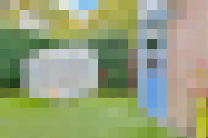 Saltholm 47 Hoofddorp thumbnail 29