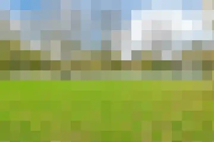Saltholm 47 Hoofddorp thumbnail 31