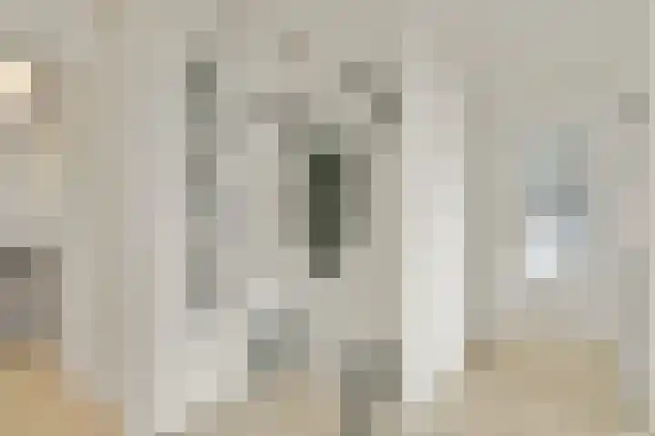 Saltholm 47 Hoofddorp thumbnail 6