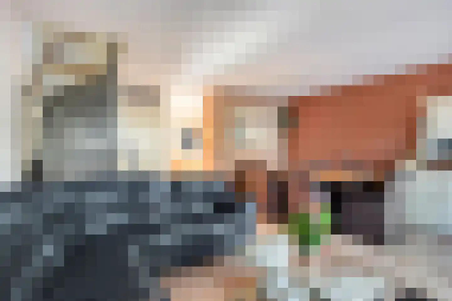 Saltholm 47 Zaandam thumbnail 13