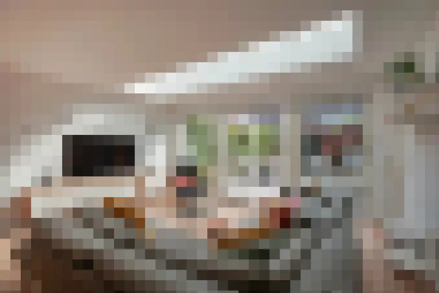 Saltholm 5 Zaandam thumbnail 7