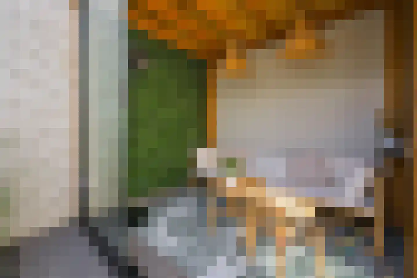 Saltholm 6 Zaandam thumbnail 13