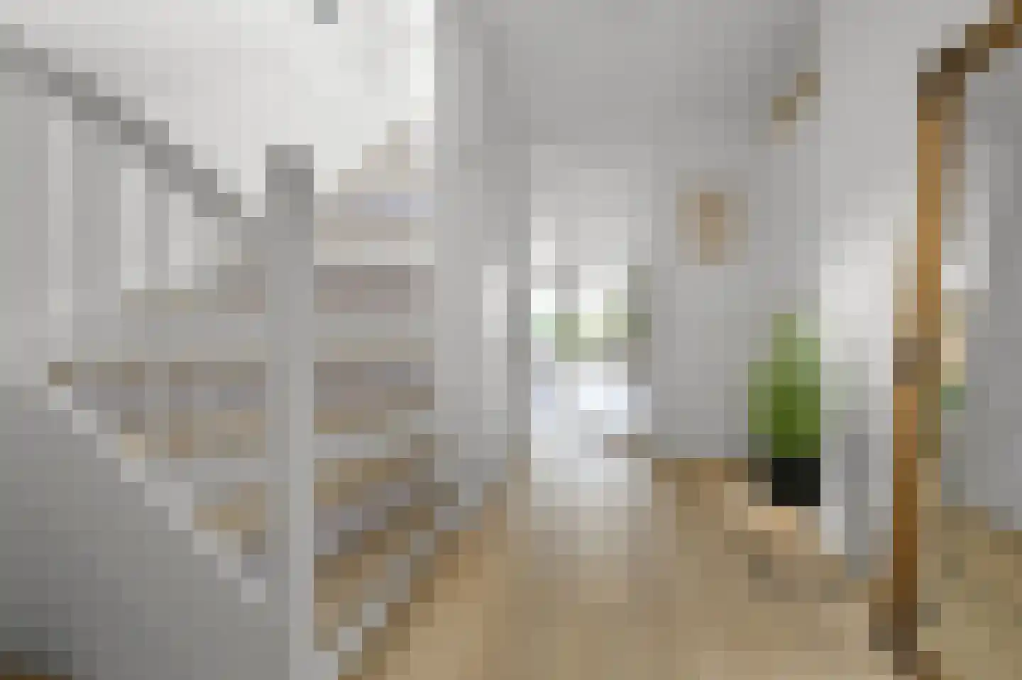 Saltholm 6 Zaandam thumbnail 7