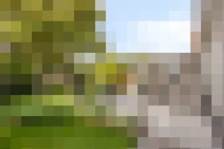 Saltshof 1243 Wijchen thumbnail 25