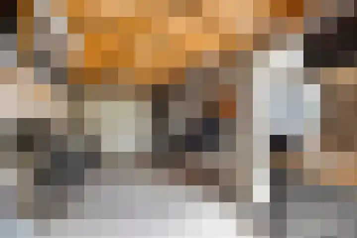 Saltshof 1243 Wijchen thumbnail 27