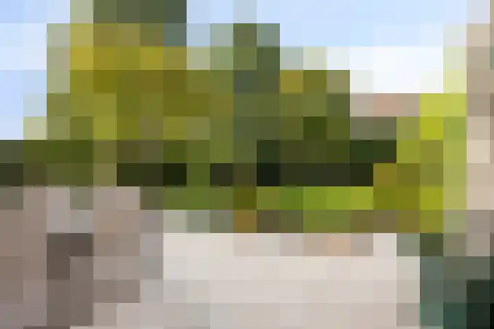 Saltshof 1243 Wijchen thumbnail 29