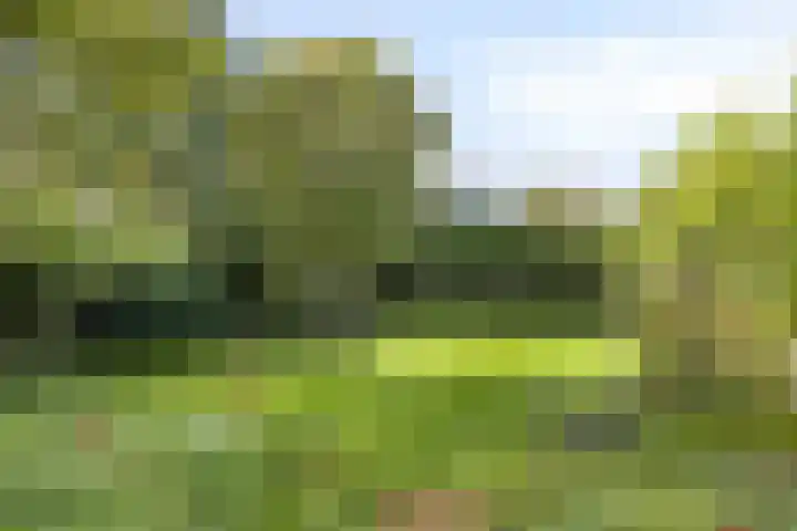 Saltshof 1243 Wijchen thumbnail 30