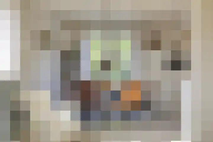 Saltshof 1243 Wijchen thumbnail 7