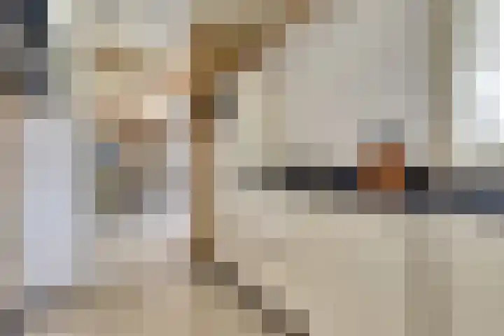 Saltshof 1522 Wijchen thumbnail 15