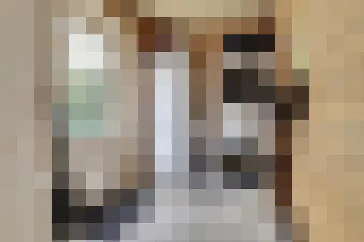 Saltshof 1522 Wijchen thumbnail 18