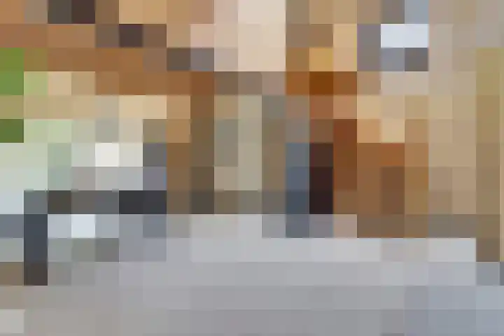 Saltshof 1522 Wijchen thumbnail 33