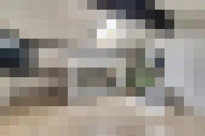 Saltshof 1522 Wijchen thumbnail 38