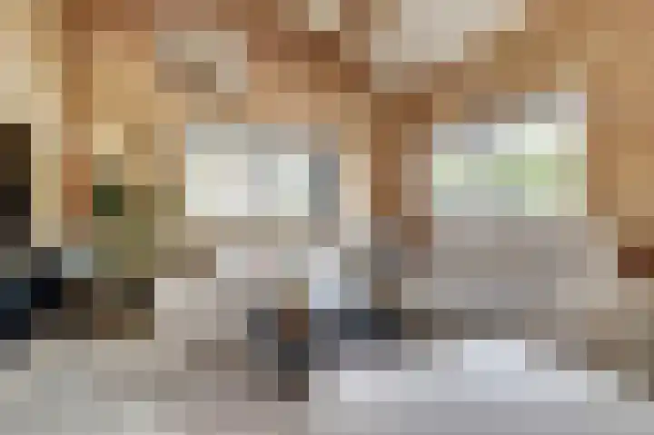 Saltshof 1522 Wijchen thumbnail 4