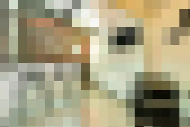 Saltshof 1522 Wijchen thumbnail 49
