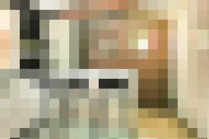 Saltshof 1522 Wijchen thumbnail 50