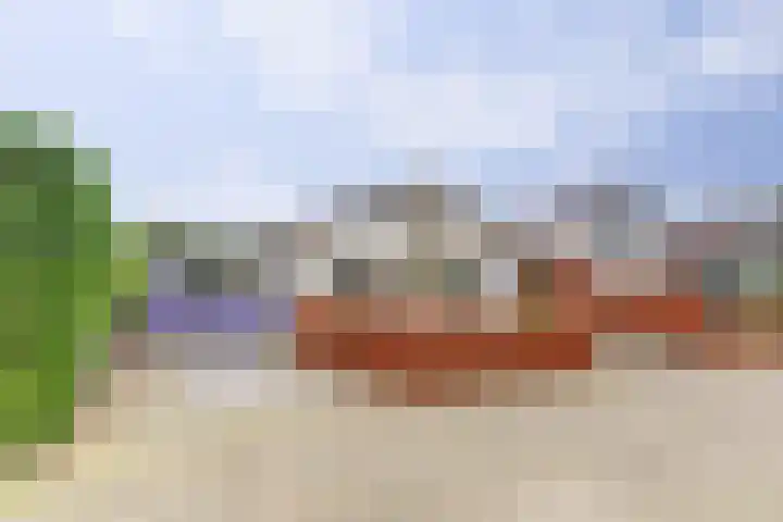 Saltshof 1522 Wijchen thumbnail 58