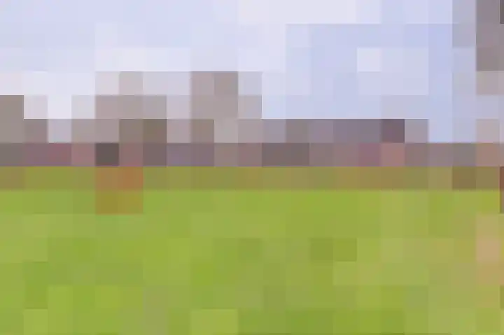 Saltshof 1522 Wijchen thumbnail 62
