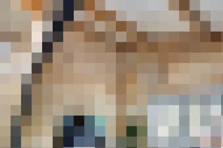 Saltshof 1522 Wijchen thumbnail 7
