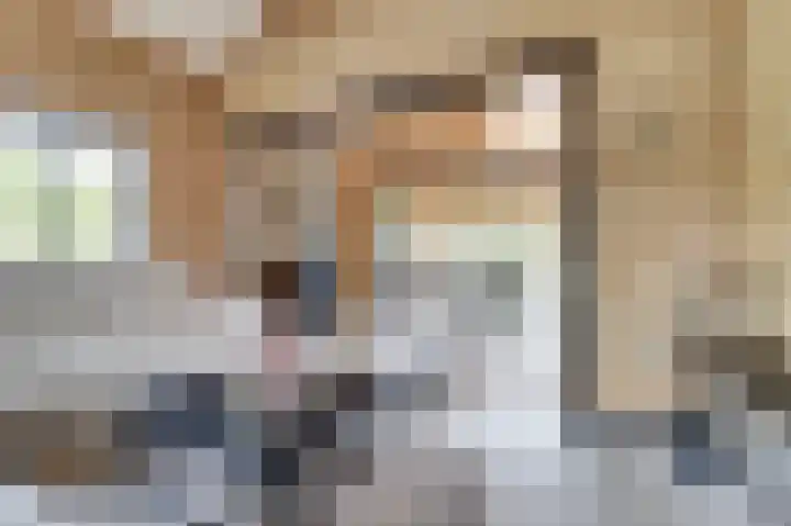 Saltshof 1522 Wijchen thumbnail 8
