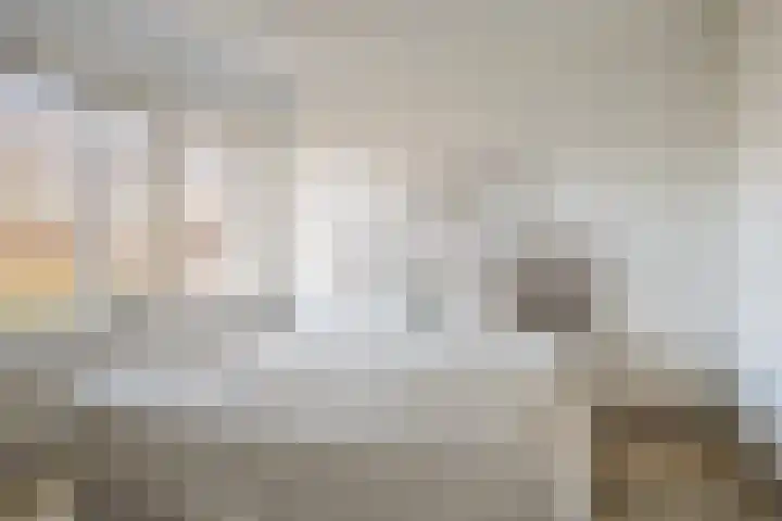 Saltshof 1738 Wijchen thumbnail 12