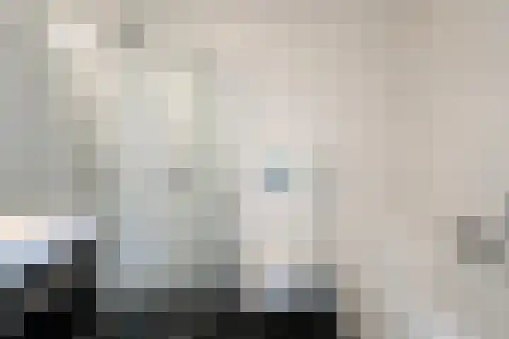Saltshof 1738 Wijchen thumbnail 14