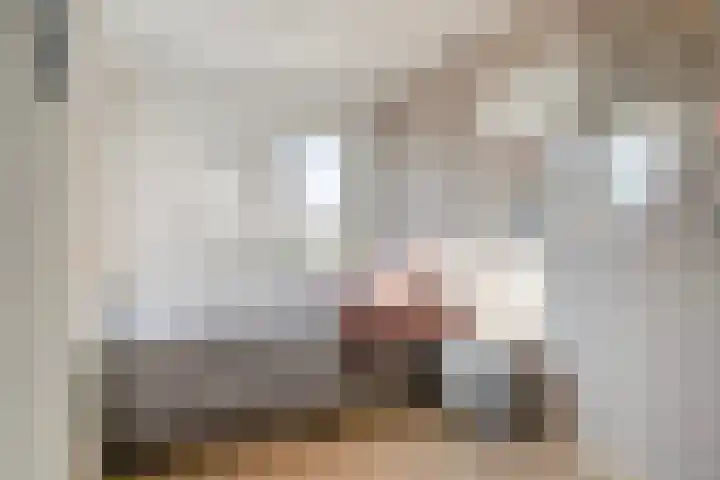 Saltshof 1738 Wijchen thumbnail 16