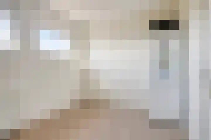 Saltshof 1738 Wijchen thumbnail 20