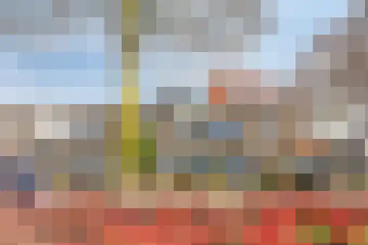 Saltshof 1738 Wijchen thumbnail 27