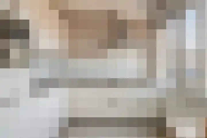 Saltshof 1738 Wijchen thumbnail 8