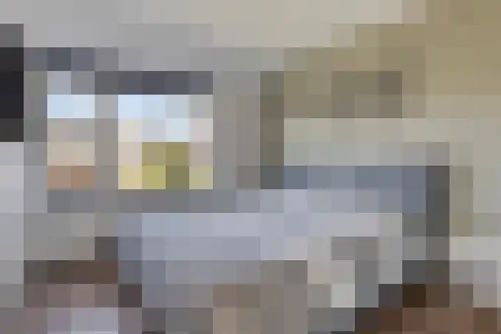 Saltshof 2016 Wijchen thumbnail 11