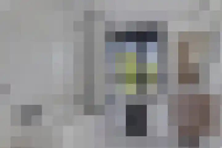 Saltshof 2016 Wijchen thumbnail 15