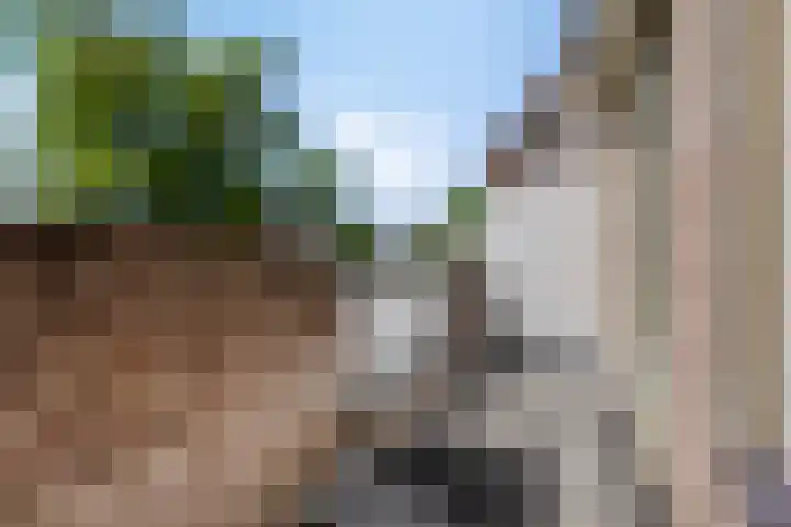 Saltshof 2016 Wijchen thumbnail 18